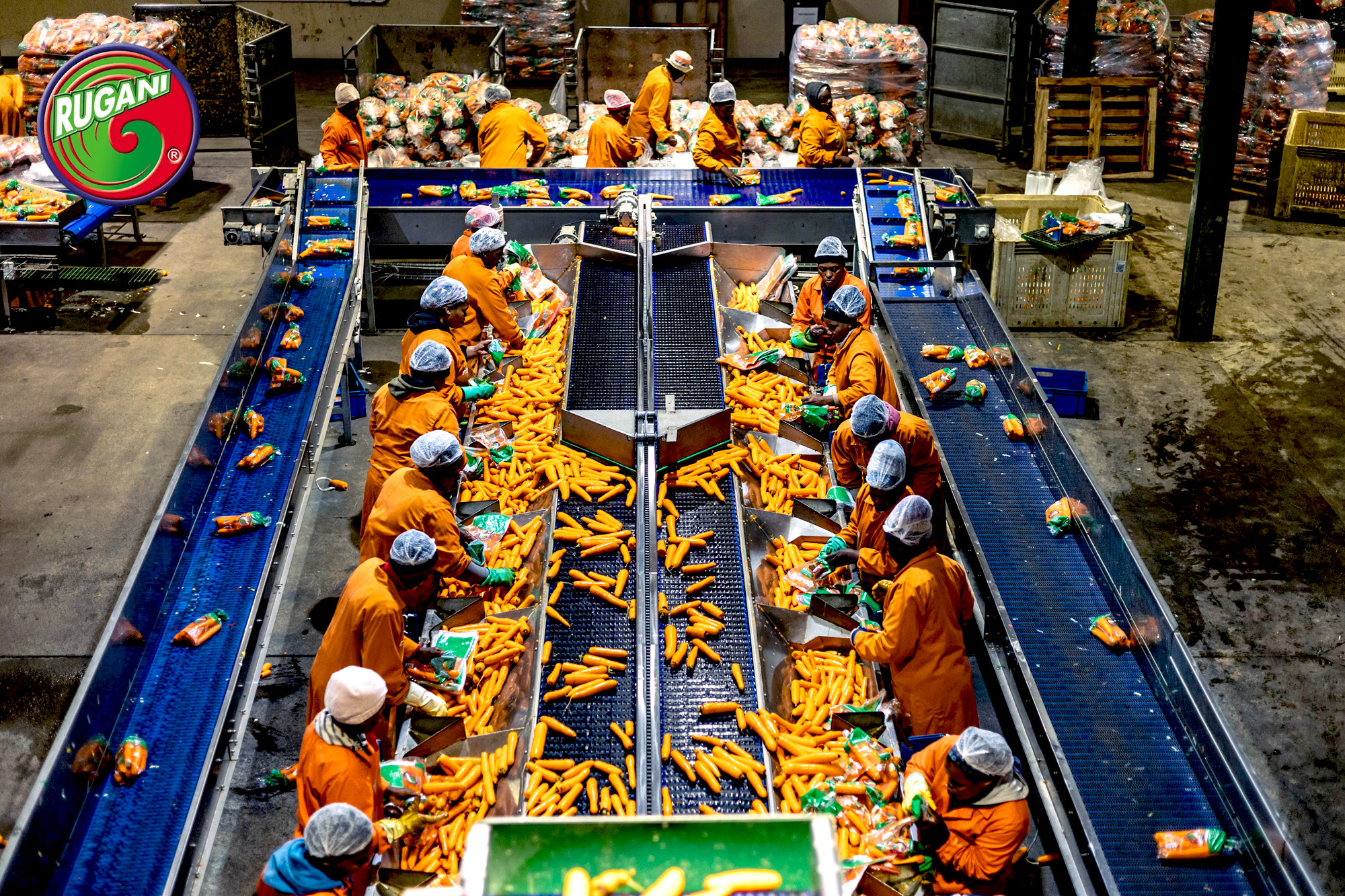 Rgani-carots-packaging-1.jpg